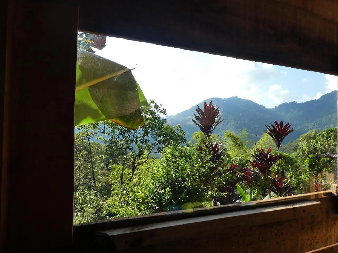 Casa Biodiversa Cali Bed & Breakfast