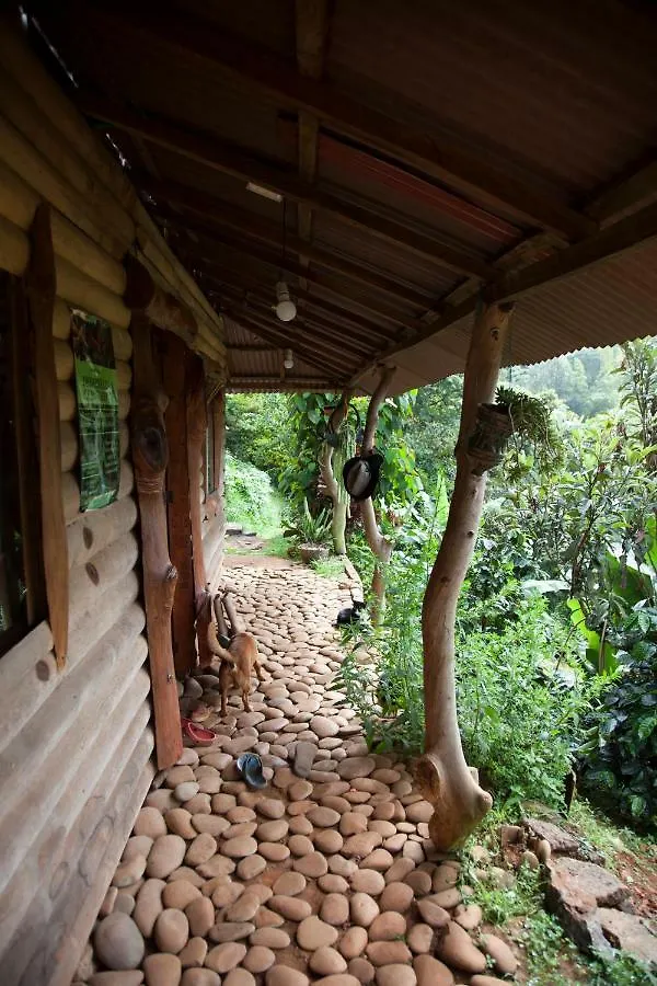 Casa Biodiversa Cali Bed & Breakfast