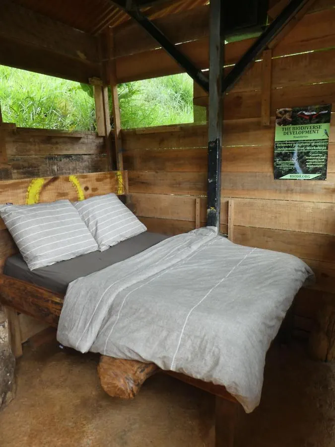 Casa Biodiversa Cali Bed & Breakfast コロンビア