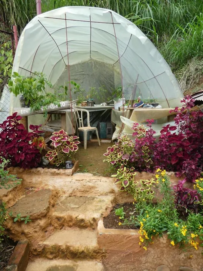 Casa Biodiversa Cali Bed & Breakfast 2*,  コロンビア